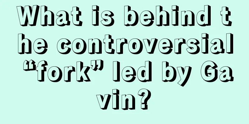 What is behind the controversial “fork” led by Gavin?