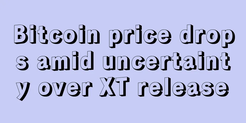Bitcoin price drops amid uncertainty over XT release
