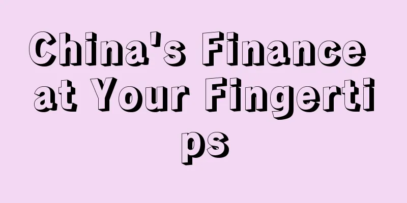 China's Finance at Your Fingertips