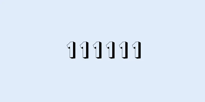 111111