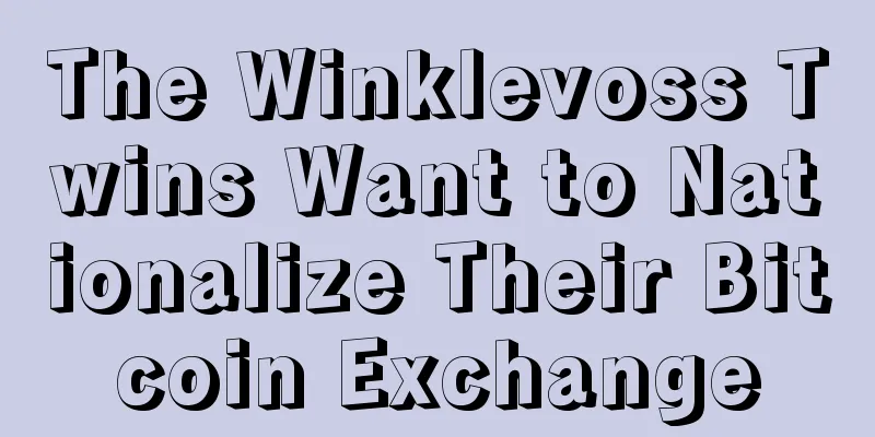 The Winklevoss Twins Want to Nationalize Their Bitcoin Exchange
