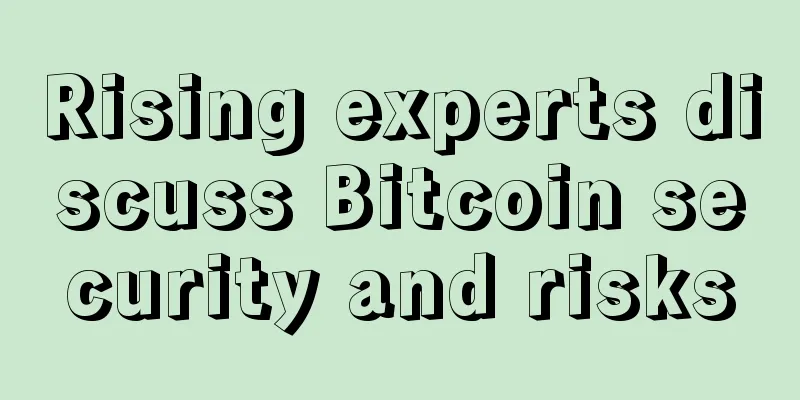 Rising experts discuss Bitcoin security and risks