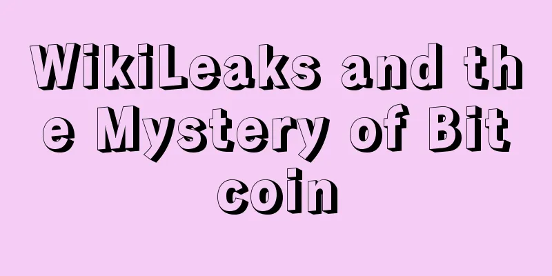 WikiLeaks and the Mystery of Bitcoin