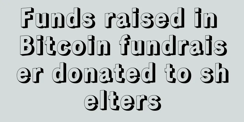 Funds raised in Bitcoin fundraiser donated to shelters