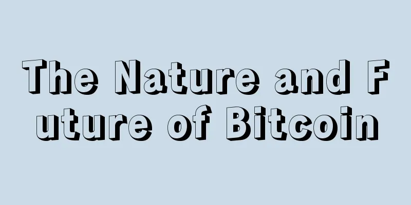 The Nature and Future of Bitcoin
